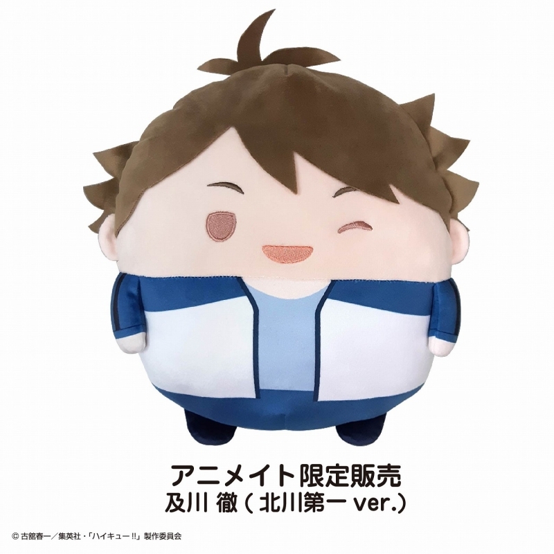 ハイキュー!! ふわコロりんBIGスペシャル L:及川 徹(北川第一ver