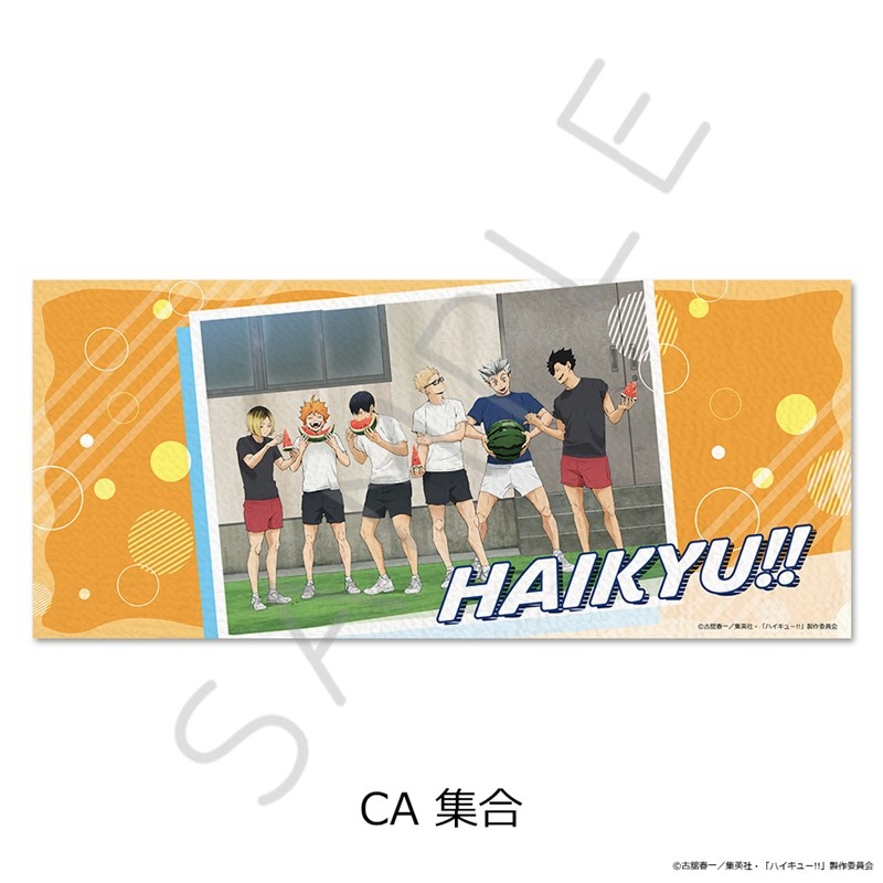 ハイキュー!!」 第13弾 フェイスタオル CA(集合) | j-hobby Collection