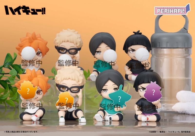 PERIHAPI! Hide & Seek かくれんぼ ハイキュー!! 疑似ユース | j-hobby